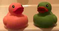 rubber ducks
